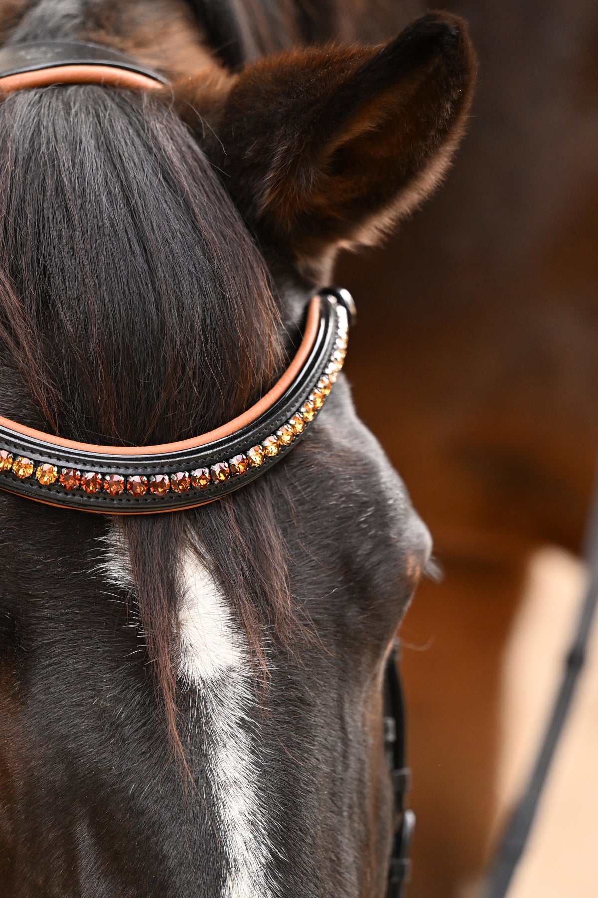 The Tuscany Black Leather Rolled Leather Snaffle Bridle with Removable Flash