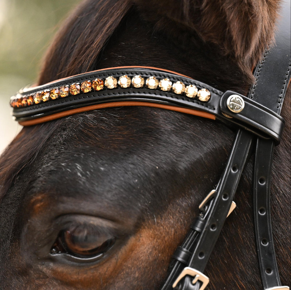 The Tuscany Black Leather Rolled Leather Snaffle Bridle with Removable Flash