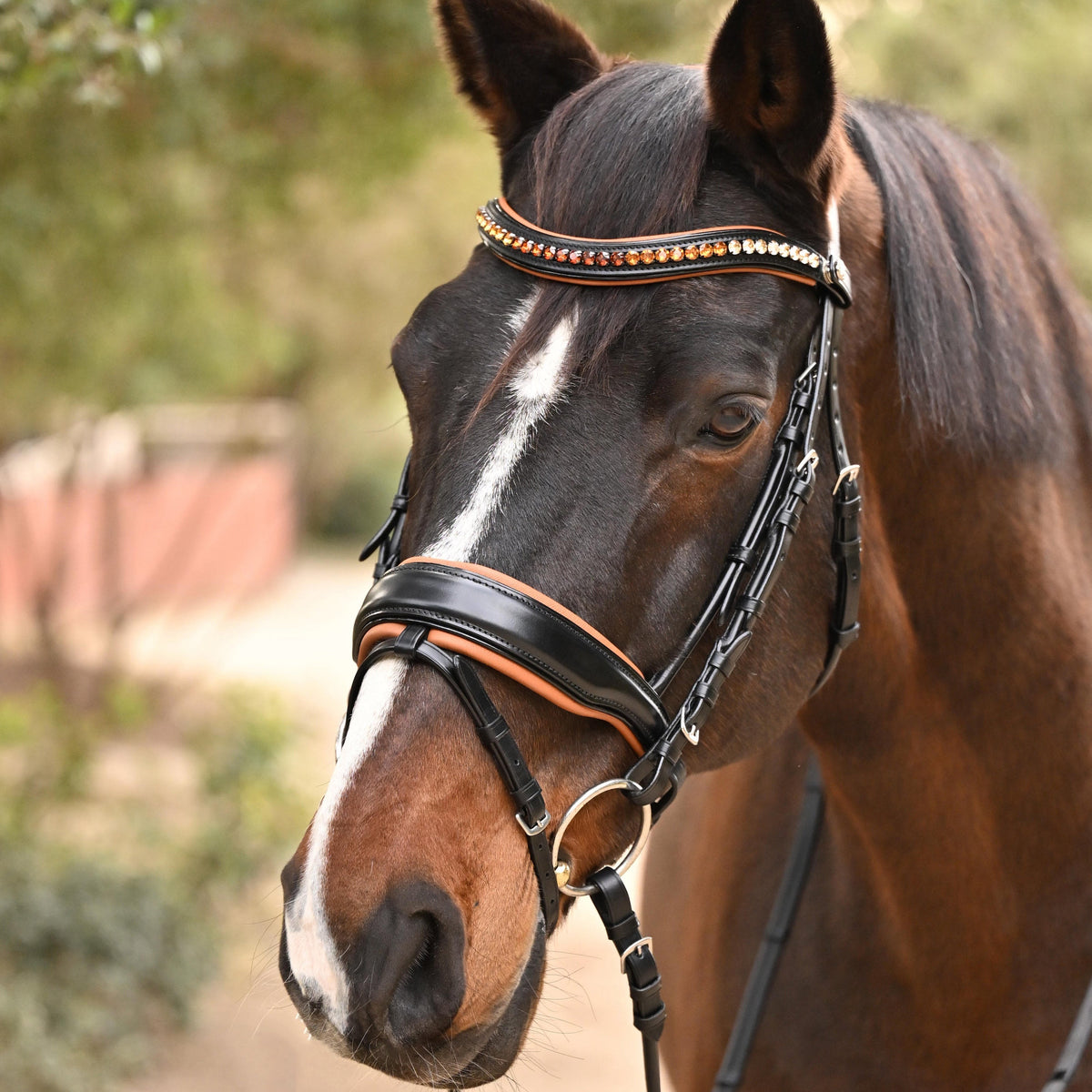 The Tuscany Black Leather Rolled Leather Snaffle Bridle with Removable Flash