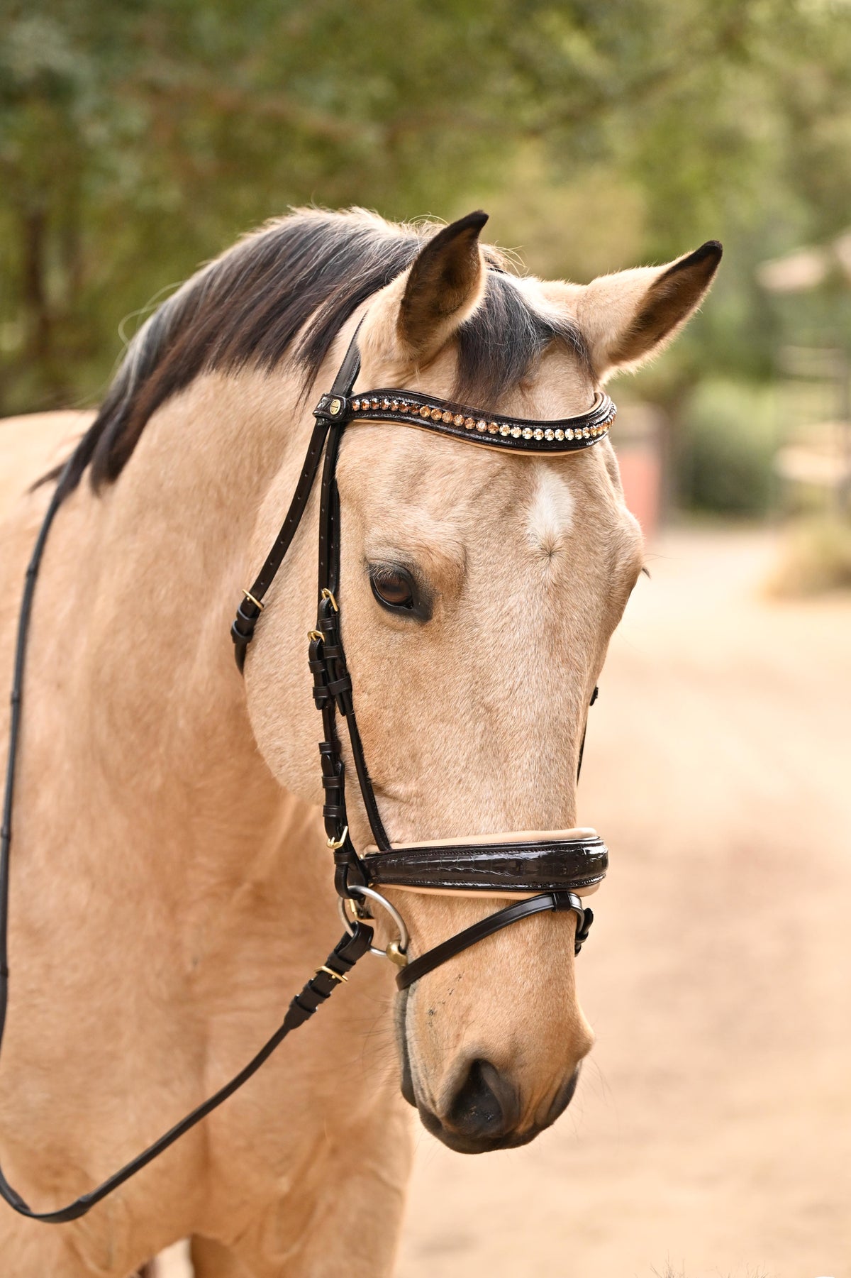 Vienna snaffle bridle, brown patent croc bridle, luxury dressage bridle, cream padded bridle, bronze piping bridle, Halter Ego bridle, anatomical comfort bridle, handcrafted leather bridle, equestrian tack, patent leather snaffle