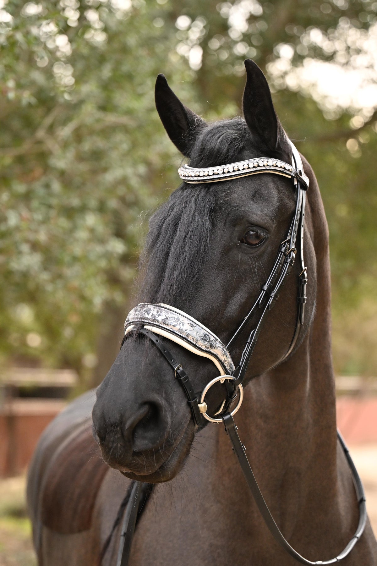 The Marie Antoinette Black Leather Snaffle Bridle