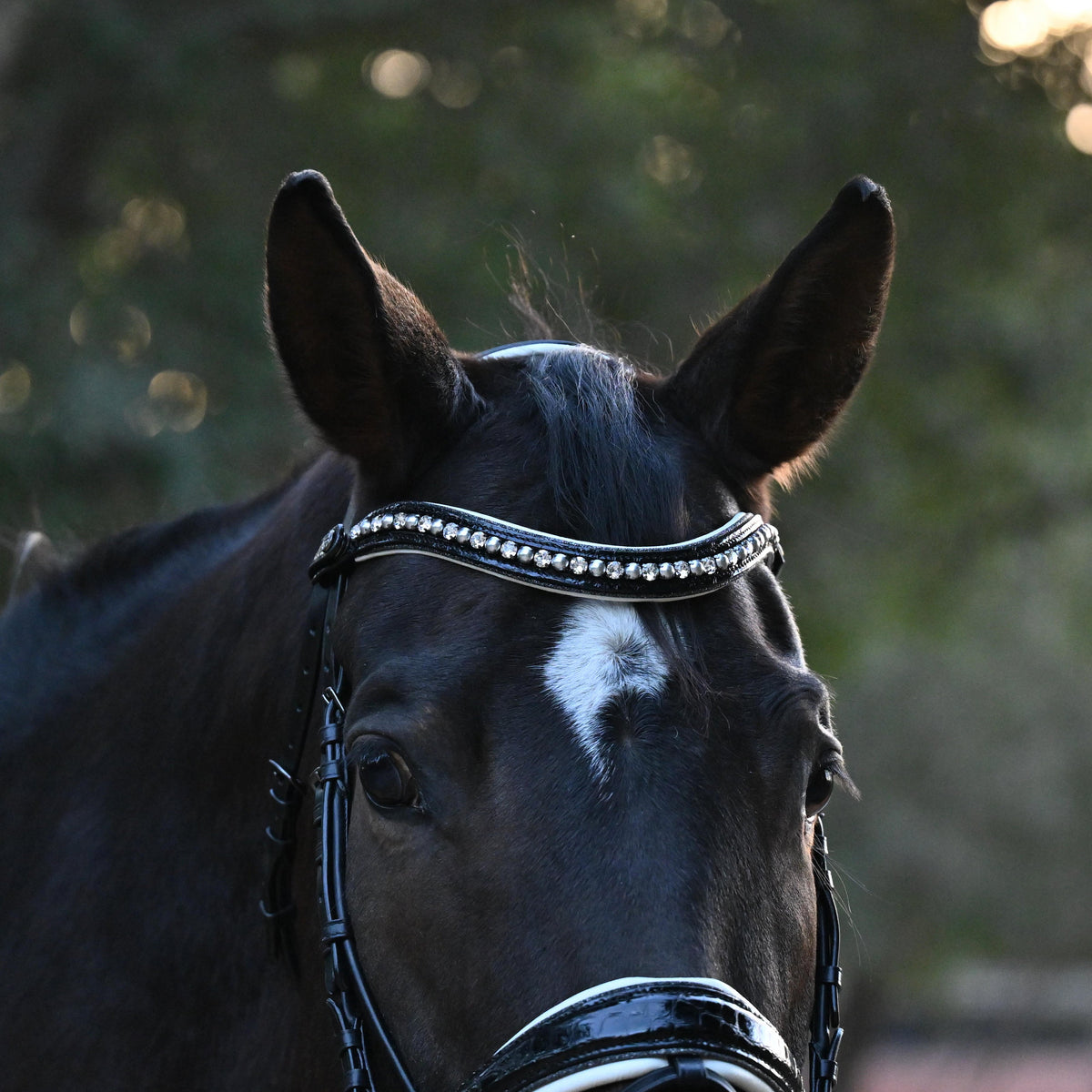 The Harlow Black Patent Snaffle Bridle with Removable Flash