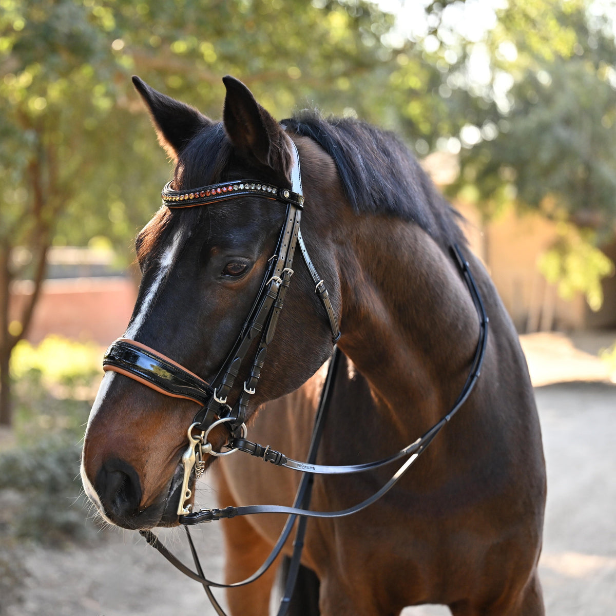 The Tuscany Black Patent Leather Double Bridle