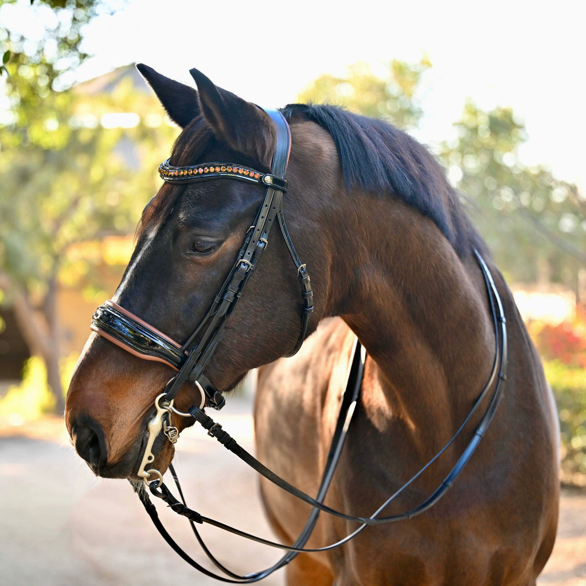 🤎 The Umbria Rolled Black Patent Leather Double Bridle