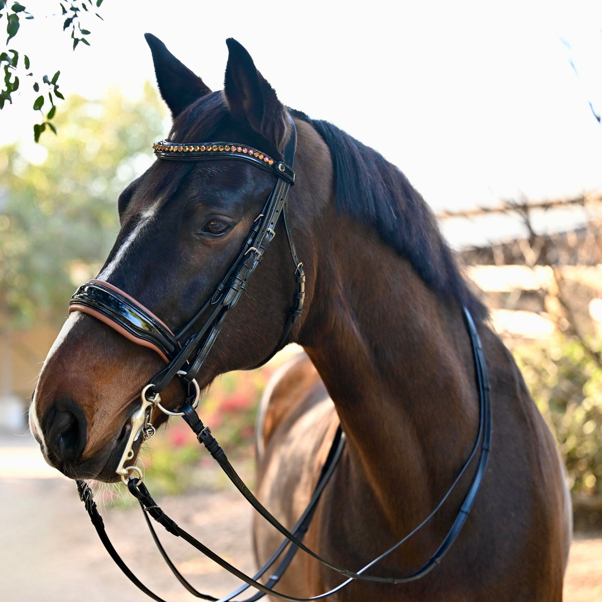 🤎 The Umbria Rolled Black Patent Leather Double Bridle