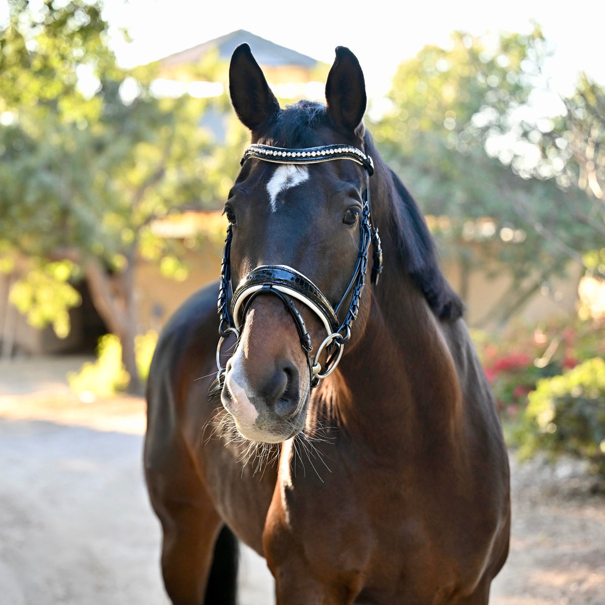 The Harlow Black Patent Snaffle Bridle with Removable Flash