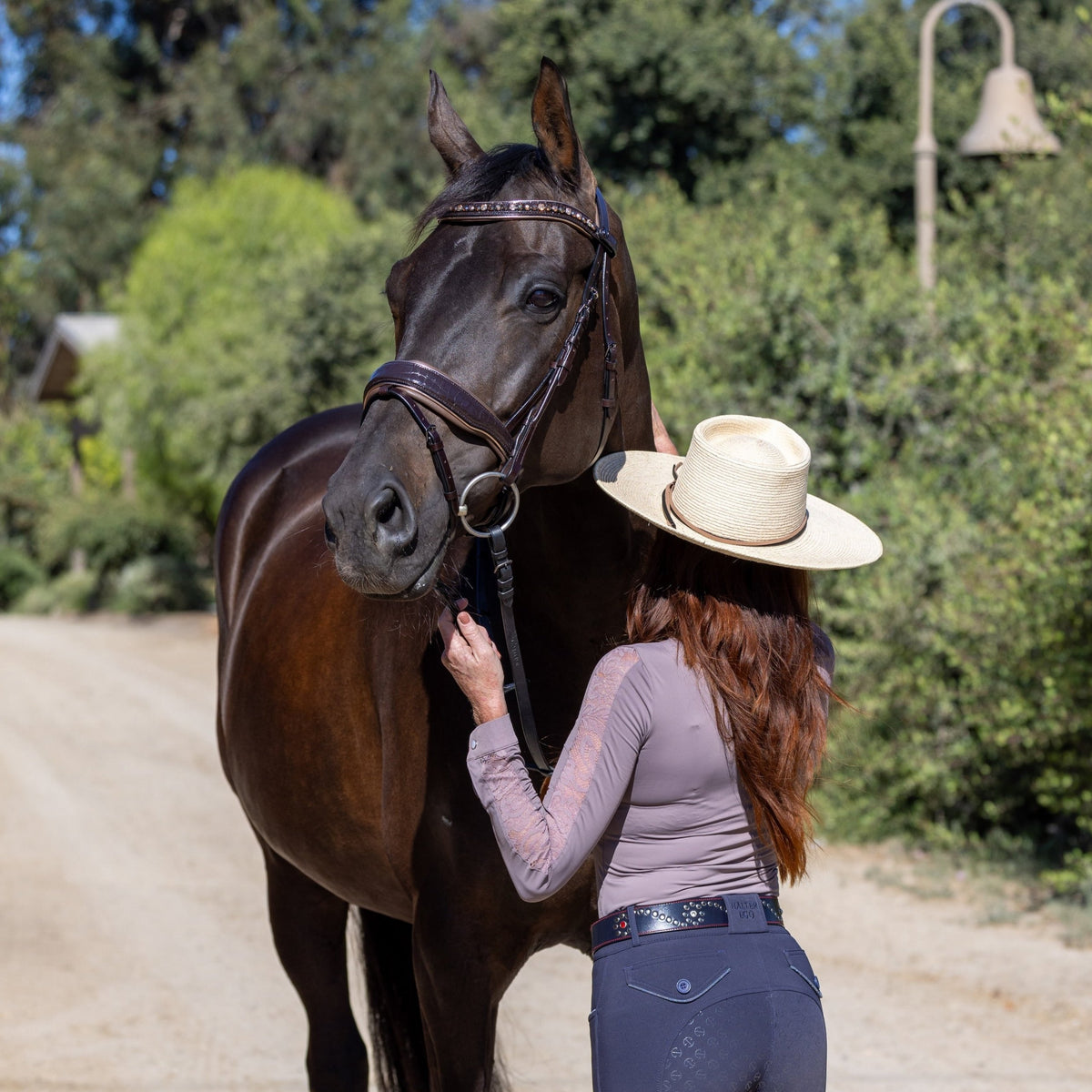 The Sun King Brown Patent Leather Snaffle Bridle