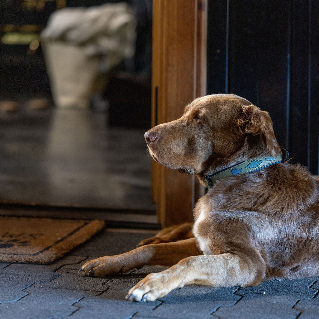 Aztec-inspired metallic sage green leather dog collar with diamond-style embroidery in shades of metallic green and blue.