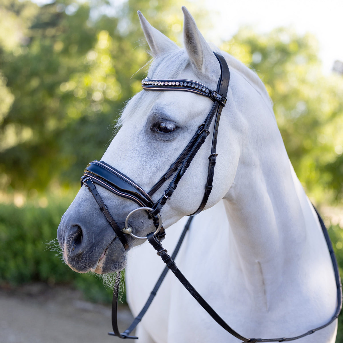 🖤 The Gotham Black Patent Snaffle Bridle – Patent Leather | Croc Print | Ombre Austrian Crystal Browband