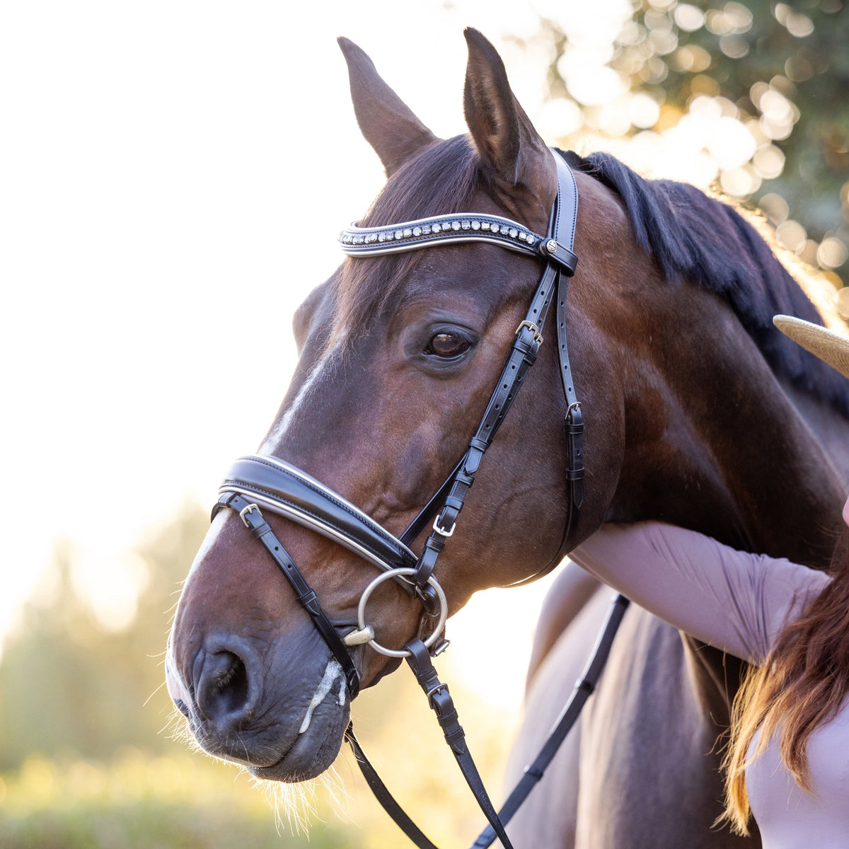 The Eiffel Tower Black Leather Snaffle Bridle