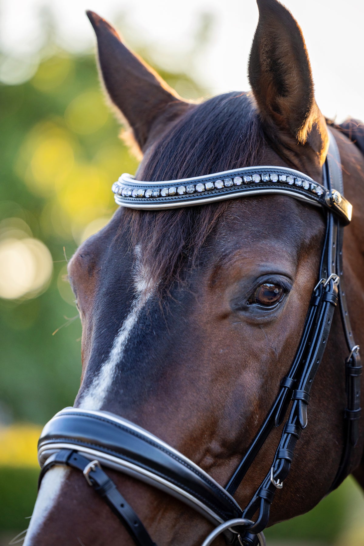 The Eiffel Tower Black Leather Snaffle Bridle