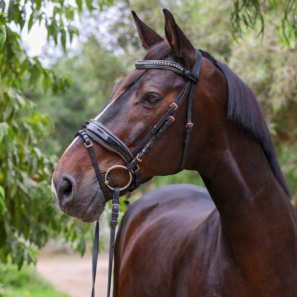 Specialty Leather & Limited Edition Snaffle Bridles | HALTER EGO ...