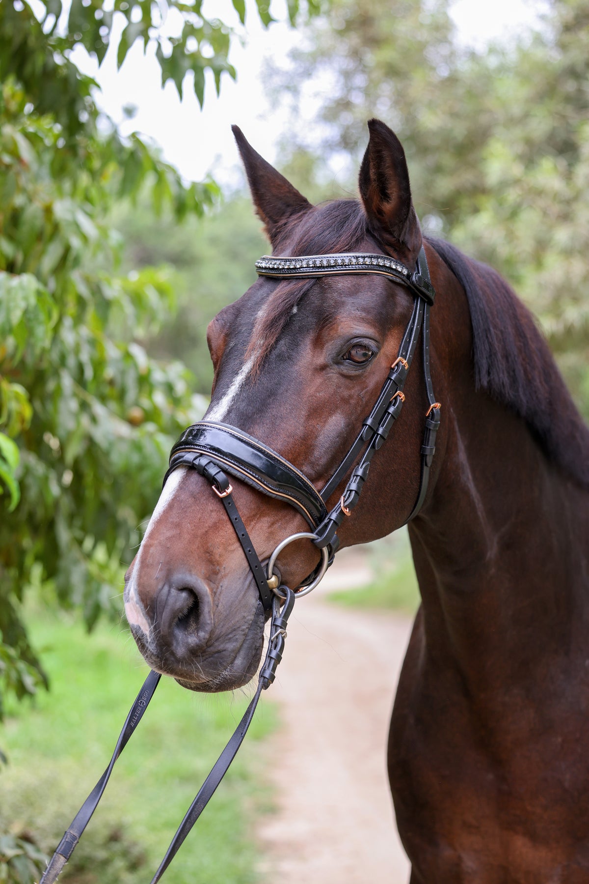 New Yorker Rose Gold Black Patent Snaffle Bridle