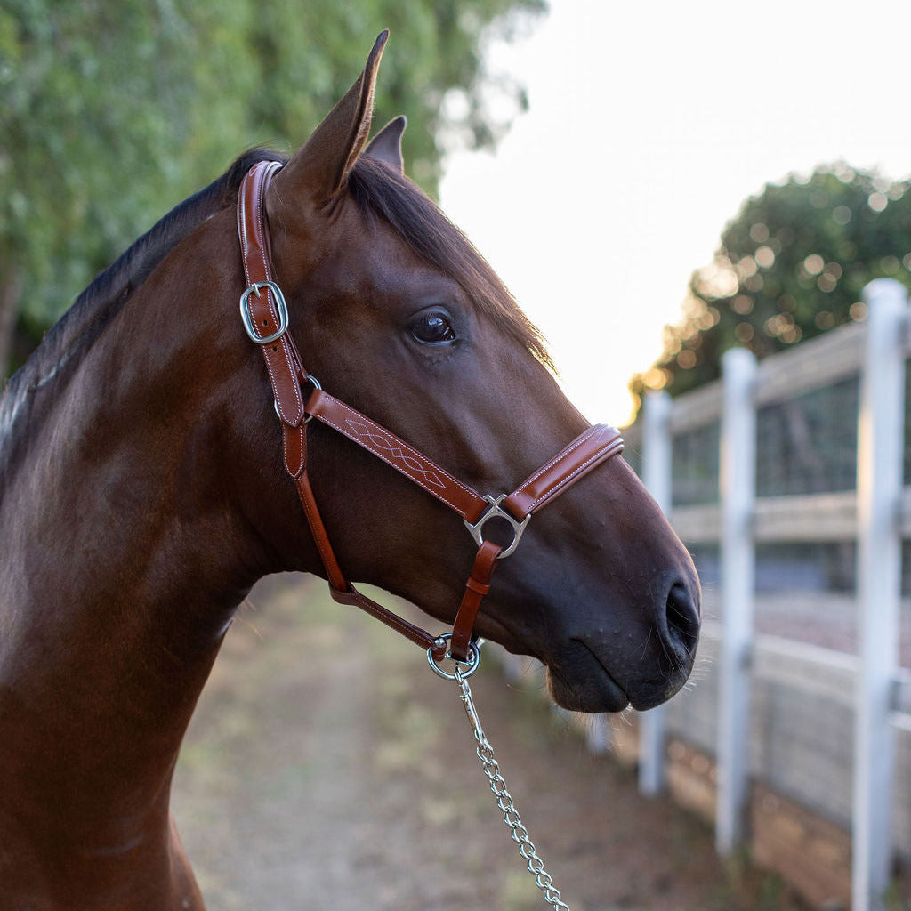 Fancy Stitched Cognac Leather Halter