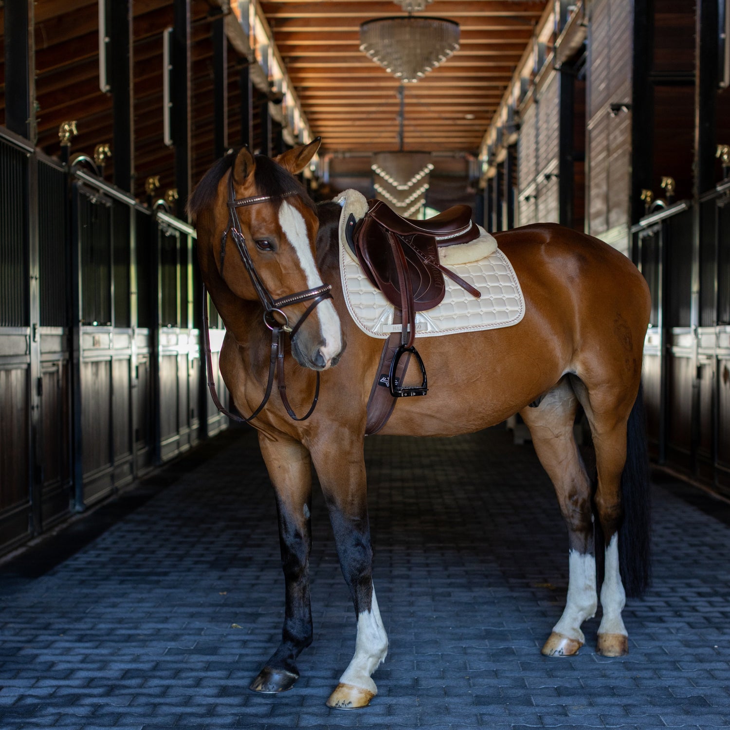 Carbon Tech Satin Classic Jump Saddle Pad - Ivory Luxe