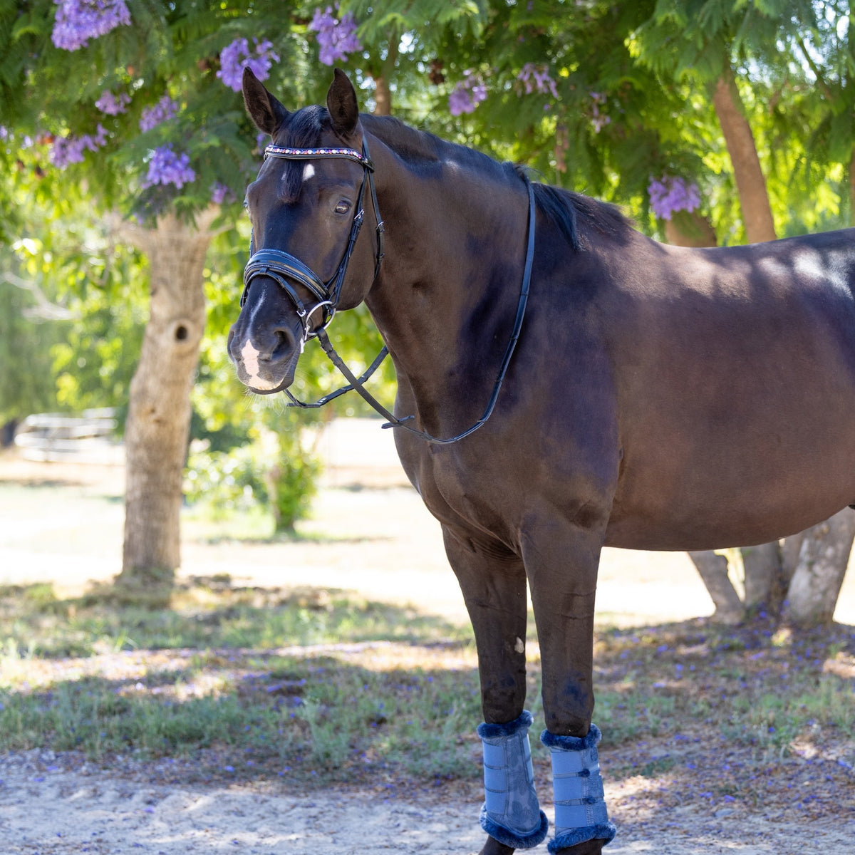 The Rebel Black Patent Snaffle Bridle - (Pathway to the Podium Collection)