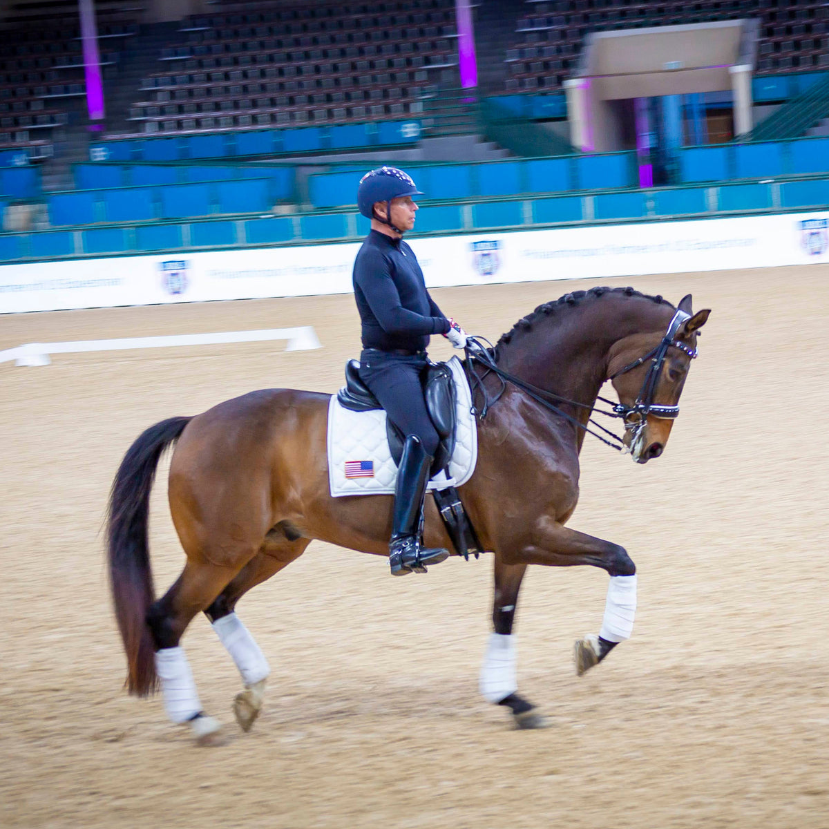 The Captain America Metallic Navy Patent Leather Double Bridle (Pathway to the Podium Collection)