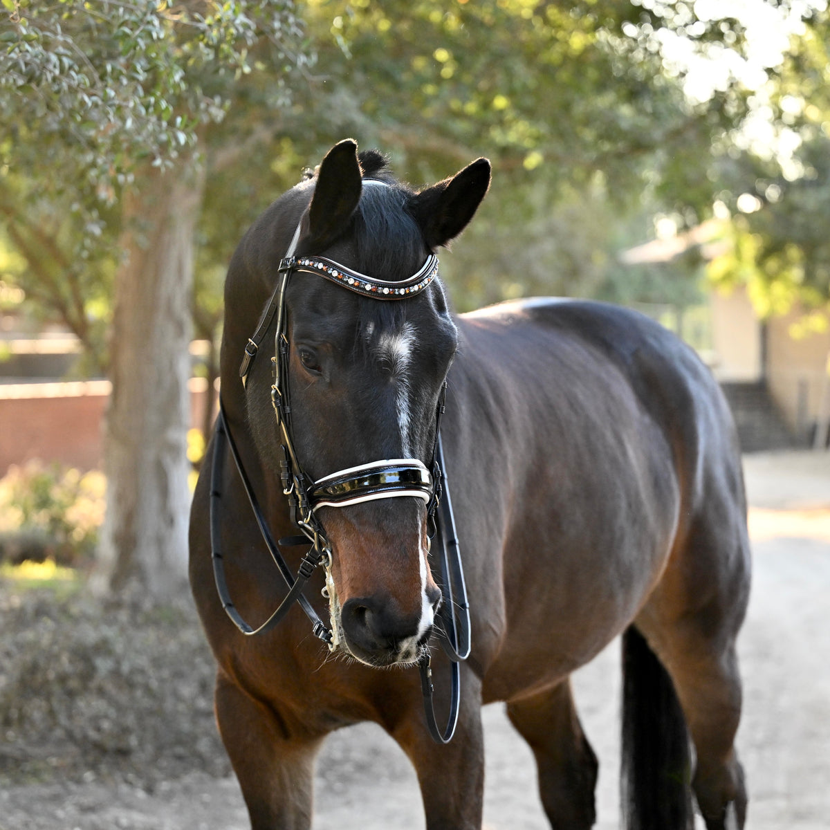 The Taos Black Patent Double