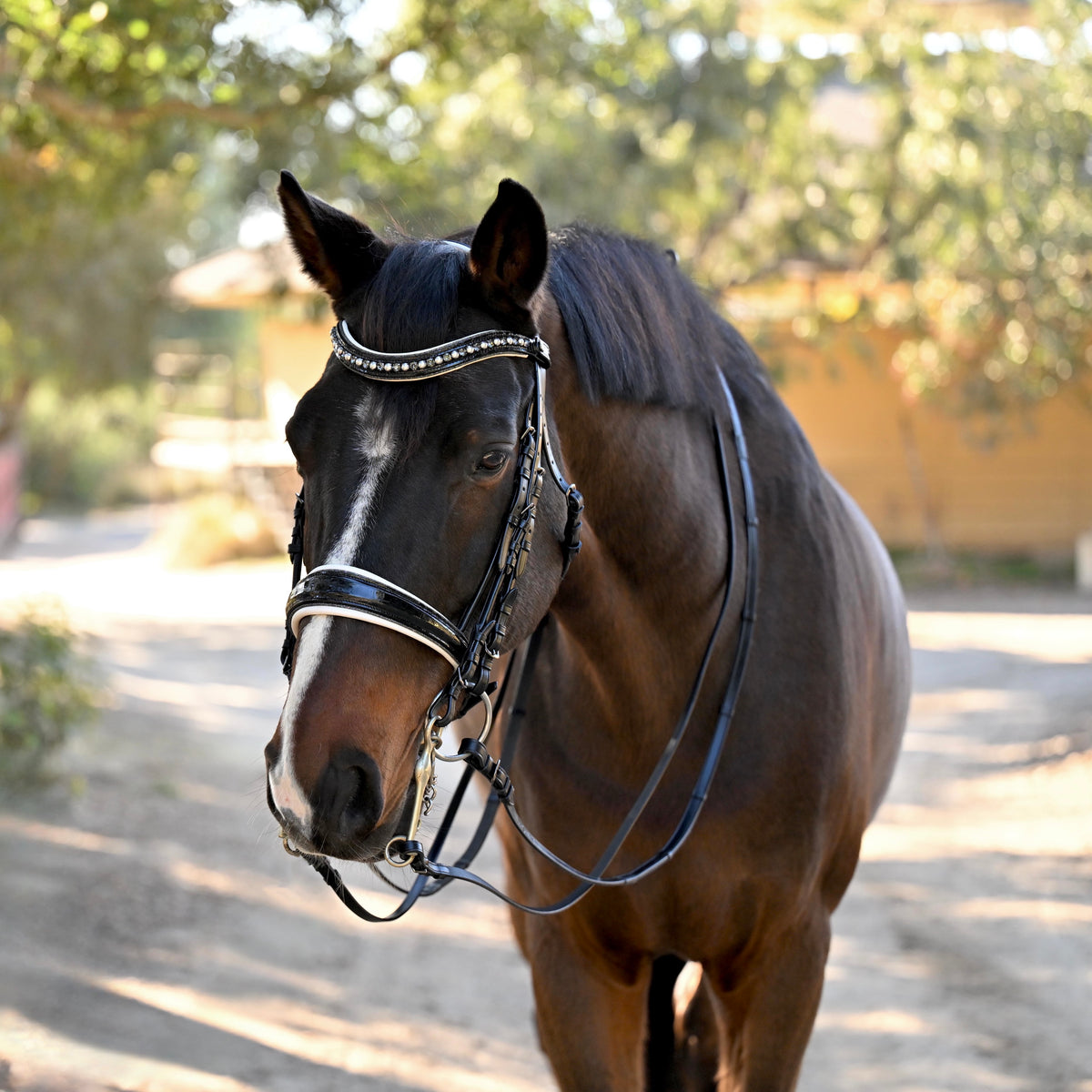 The Harlow Black Rolled Leather Double Bridle