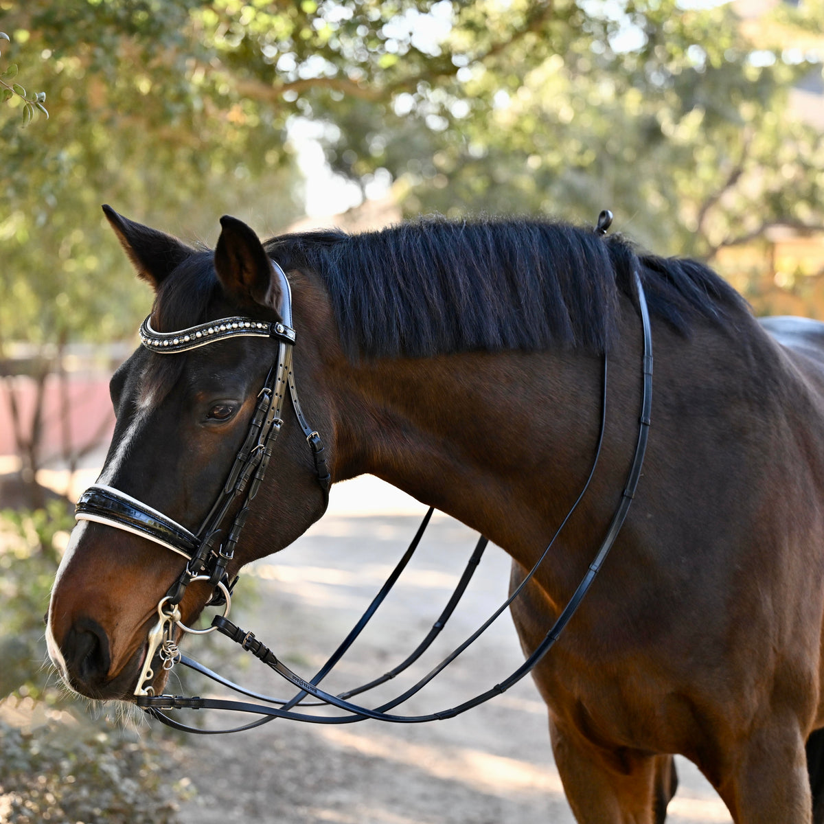 The Harlow Black Rolled Leather Double Bridle