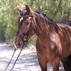 Palermo - Black Patent Brown Padding Sparkle Snaffle Bridle
