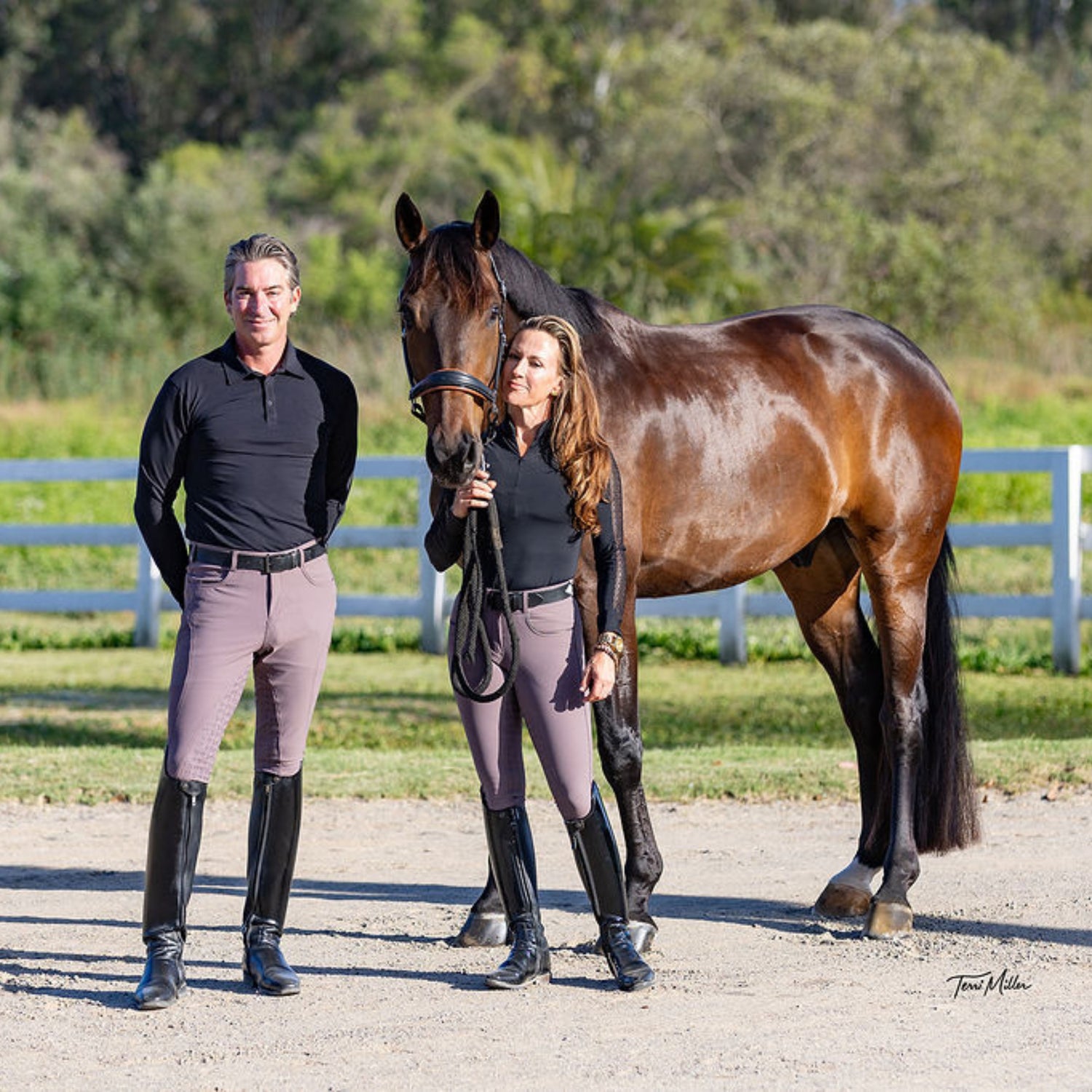 Evolution Mystique Full Seat Breeches - Sparrow - MID WAIST