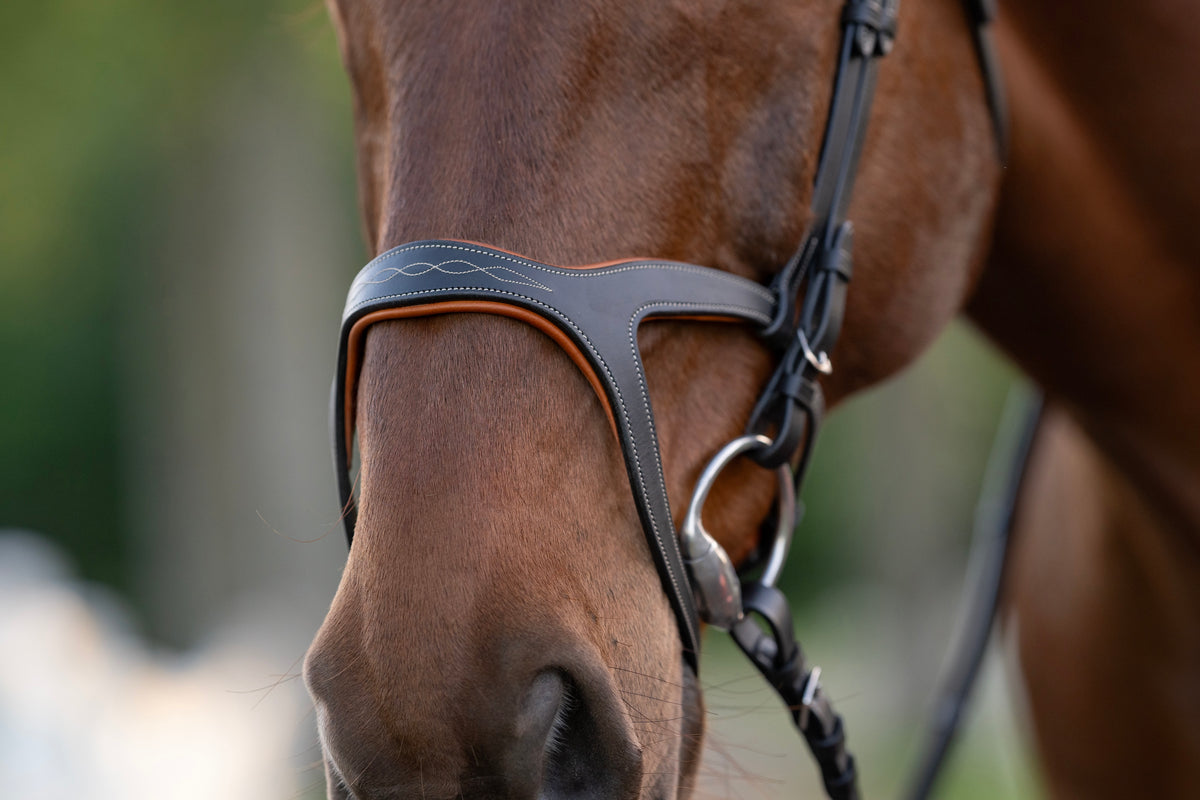 Triomphe Black Leather &amp; Cognac Leather Snaffle Bridle