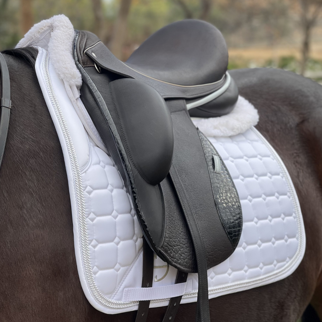 Saddle Pads For Horses, Luxurious & Unique