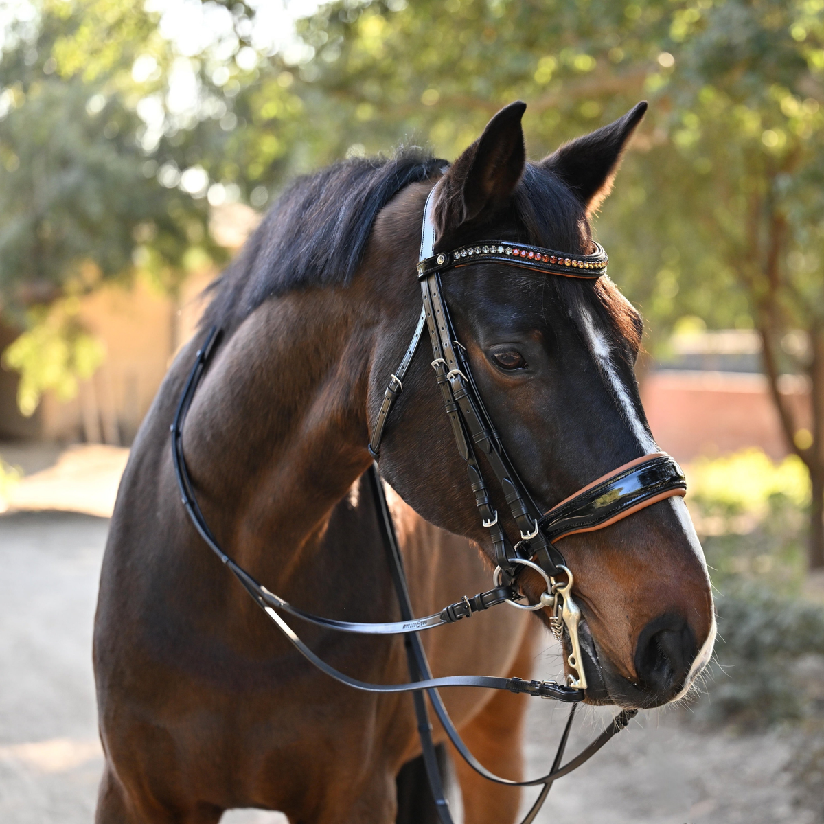 The Tuscany Black Patent Leather Double Bridle
