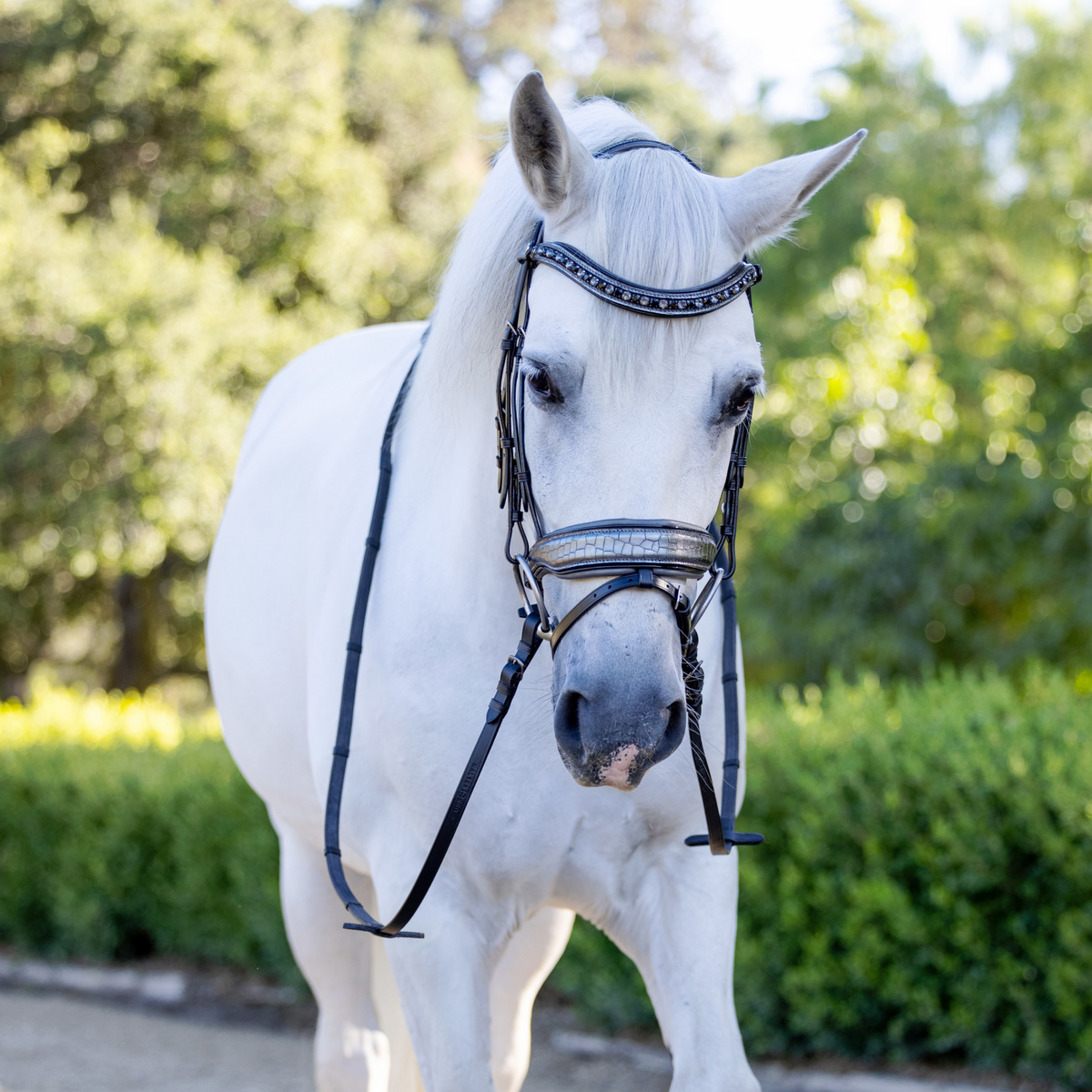 Artemis Black Leather Snaffle Bridle