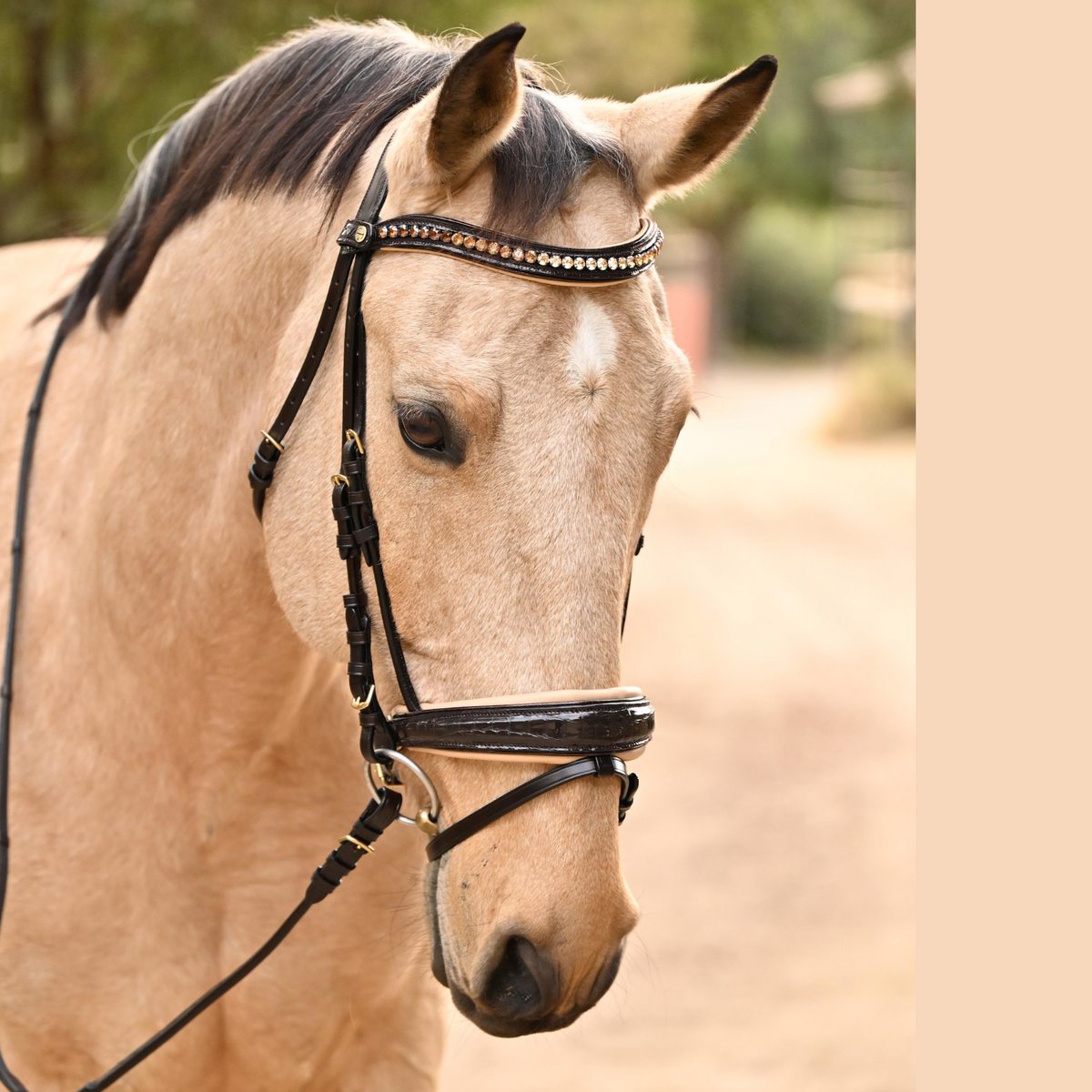 Vienna snaffle bridle, brown patent croc bridle, luxury dressage bridle, cream padded bridle, bronze piping bridle, Halter Ego bridle, anatomical comfort bridle, handcrafted leather bridle, equestrian tack, patent leather snaffle