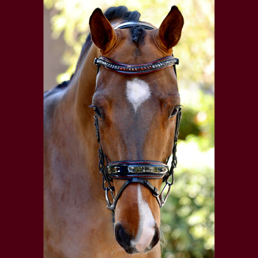 The Hayworth - Black Patent Snaffle with Burgundy Patent Piping &amp; Removable Flash