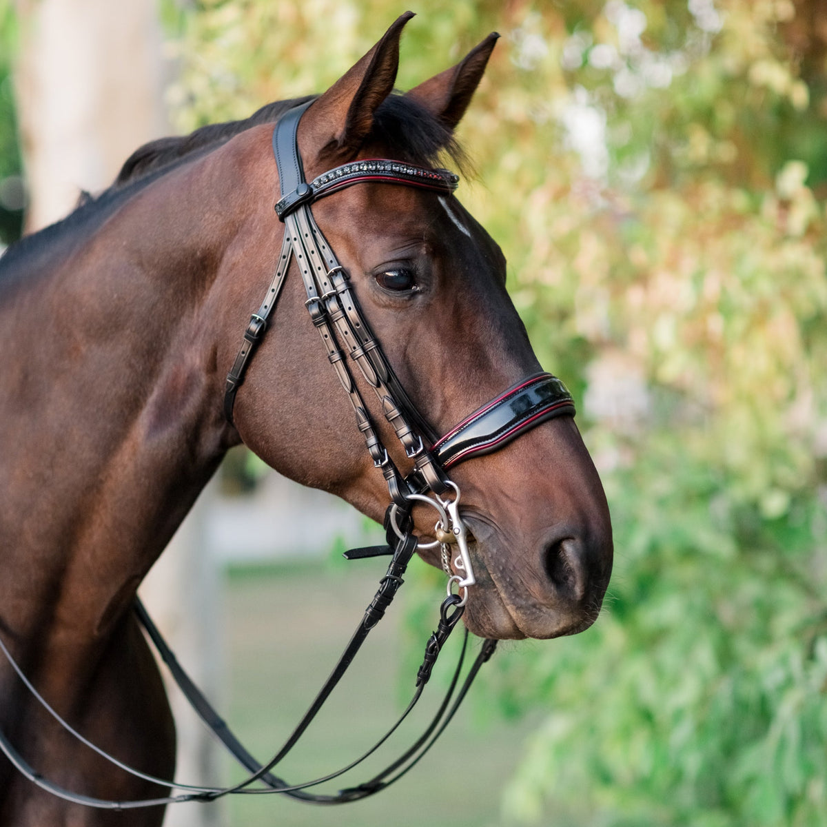 The Hayworth Double - Black Patent Double Bridle with Burgundy Patent Piping