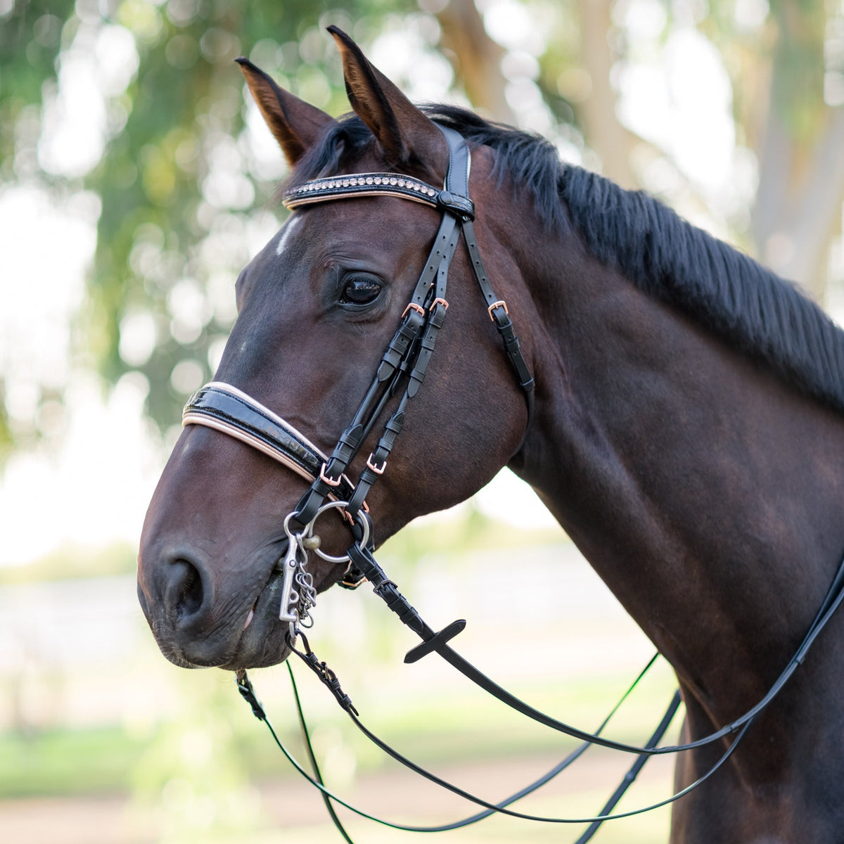 The Hollywood Black Patent Rose Gold Double Bridle