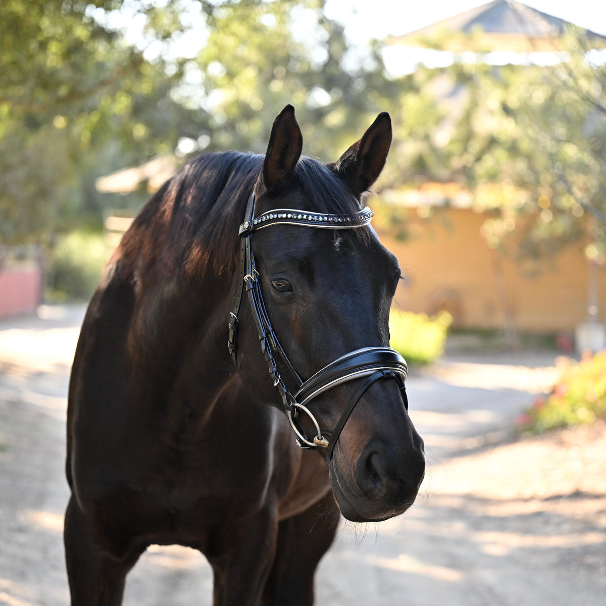 The Eiffel Tower Black Leather Snaffle Bridle