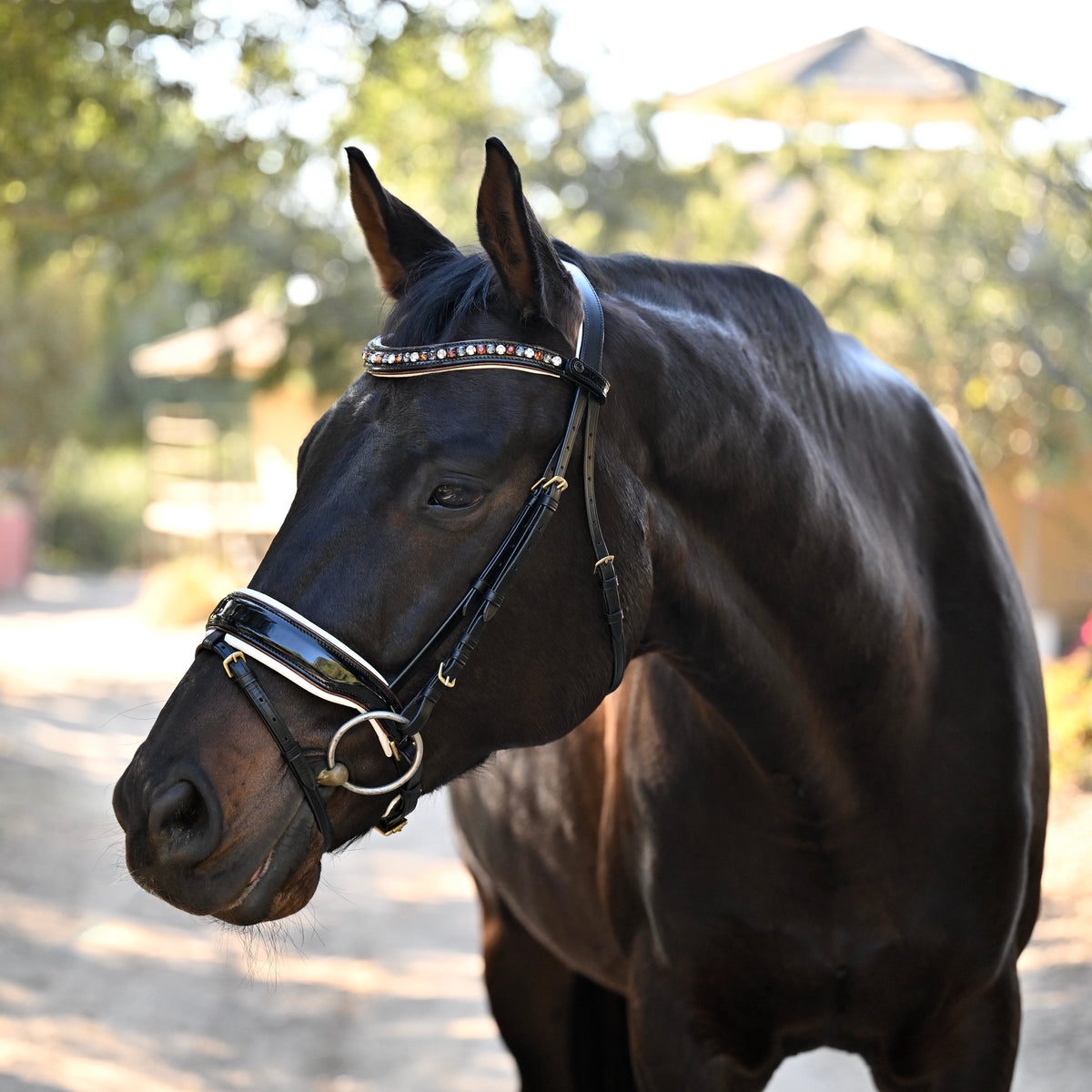 Taos Black Patent Leather Snaffle Bridle