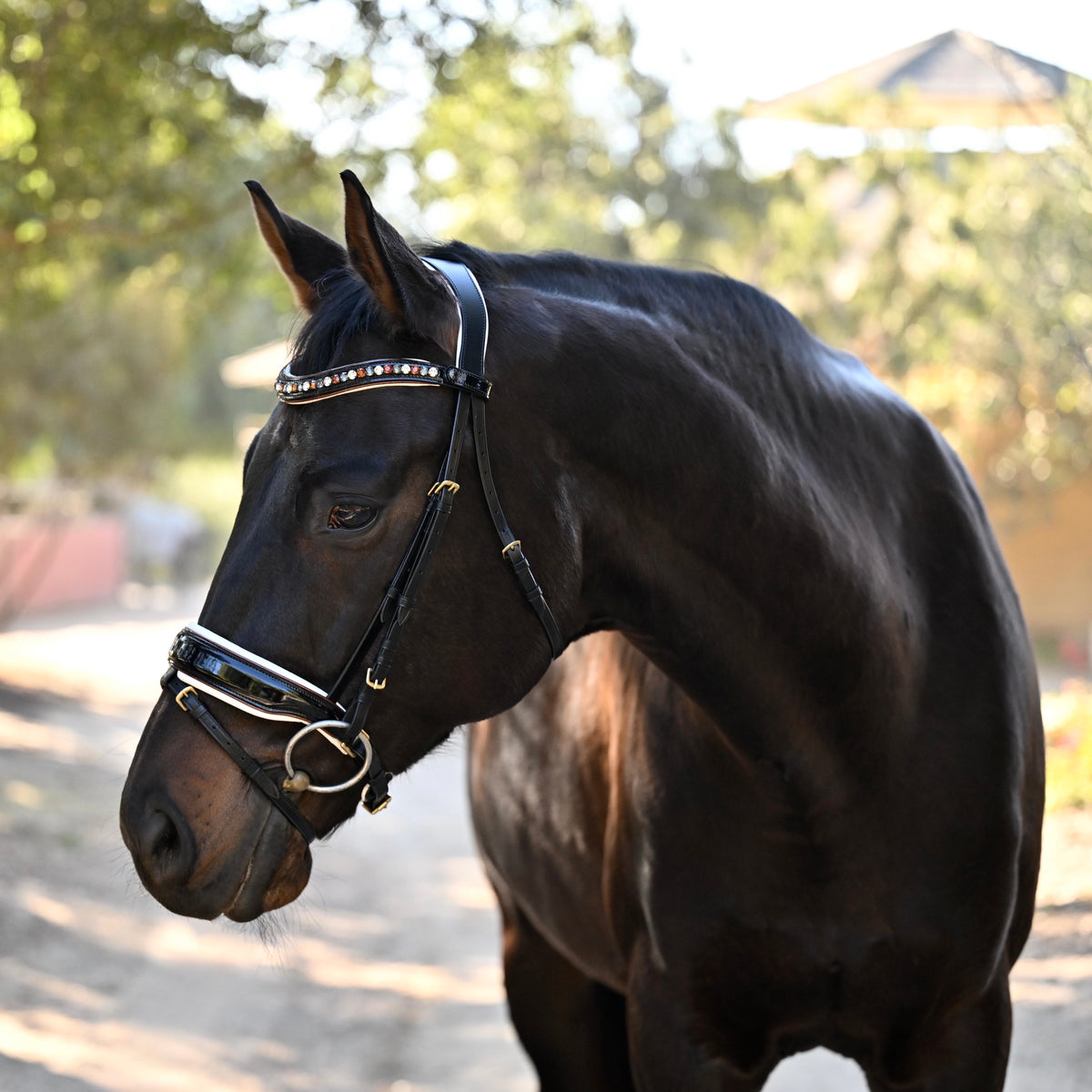 Taos Black Patent Leather Snaffle Bridle