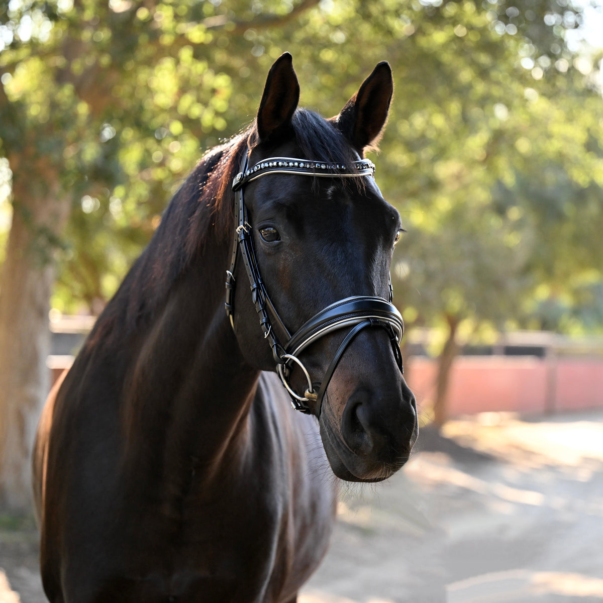 The Eiffel Tower Black Leather Snaffle Bridle