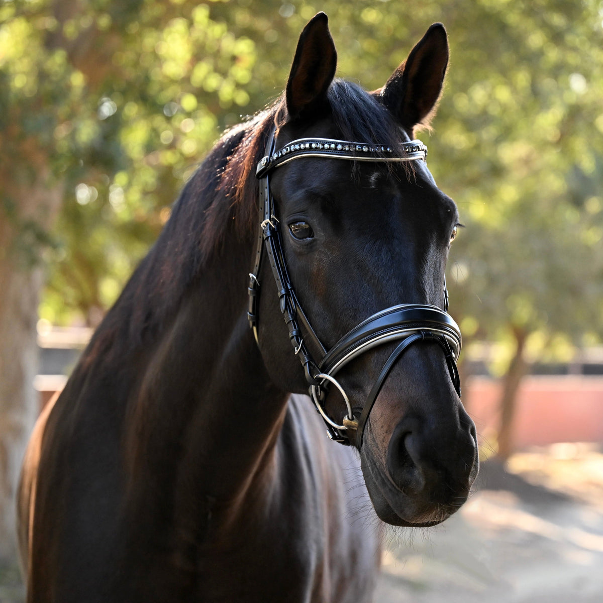 The Eiffel Tower Black Leather Snaffle Bridle