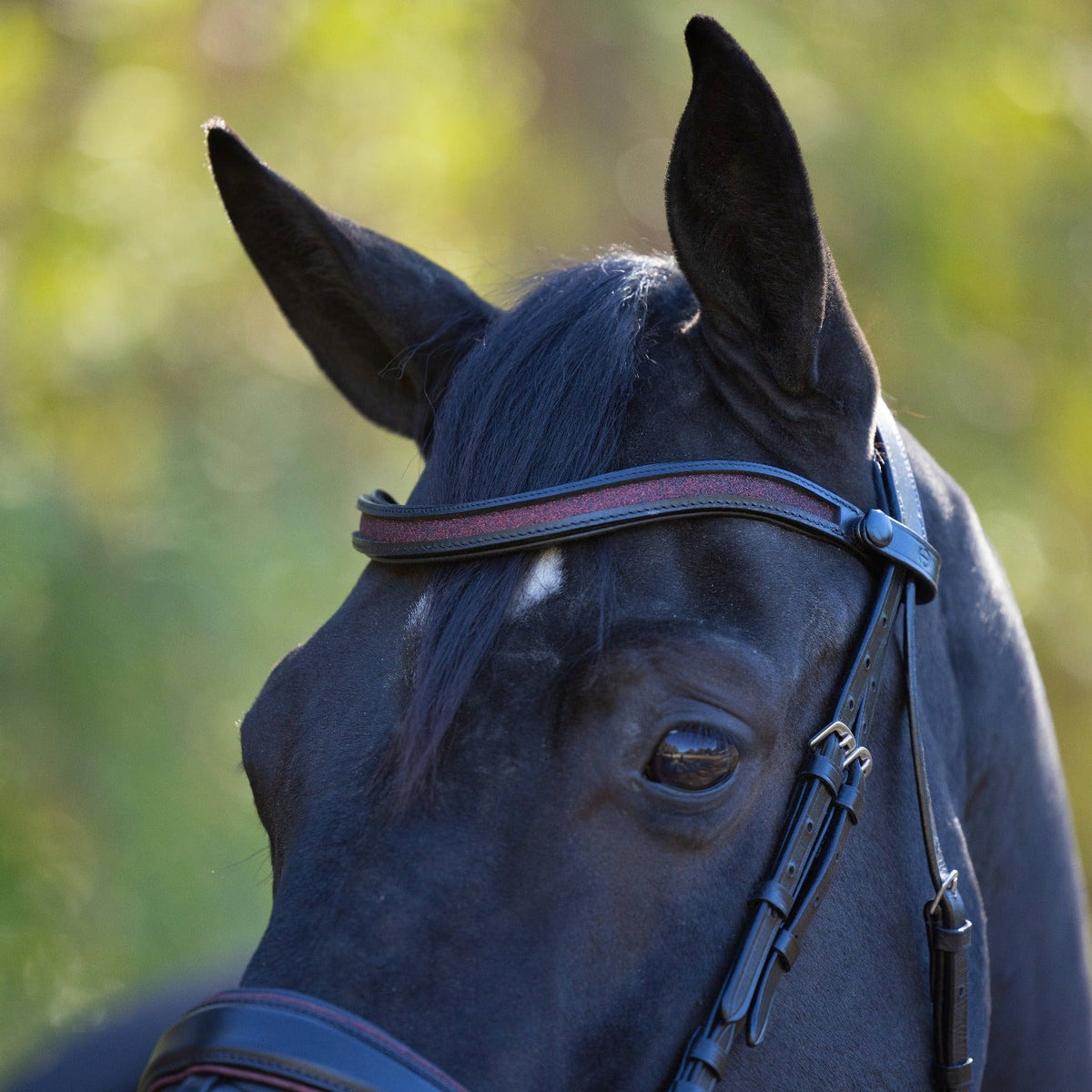 Limited Edition Natalia Black Leather / Red Glitter Conical Noseband