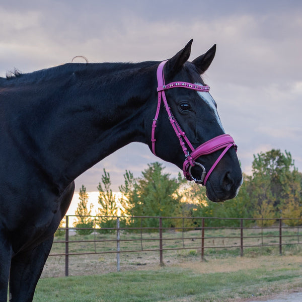 The Barbie Pink Leather Snaffle Bridle | HALTER EGO