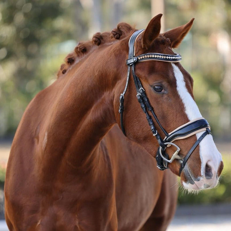 Women Vegan Leather Shiny Rhinestone Luxury Horse Short Handle