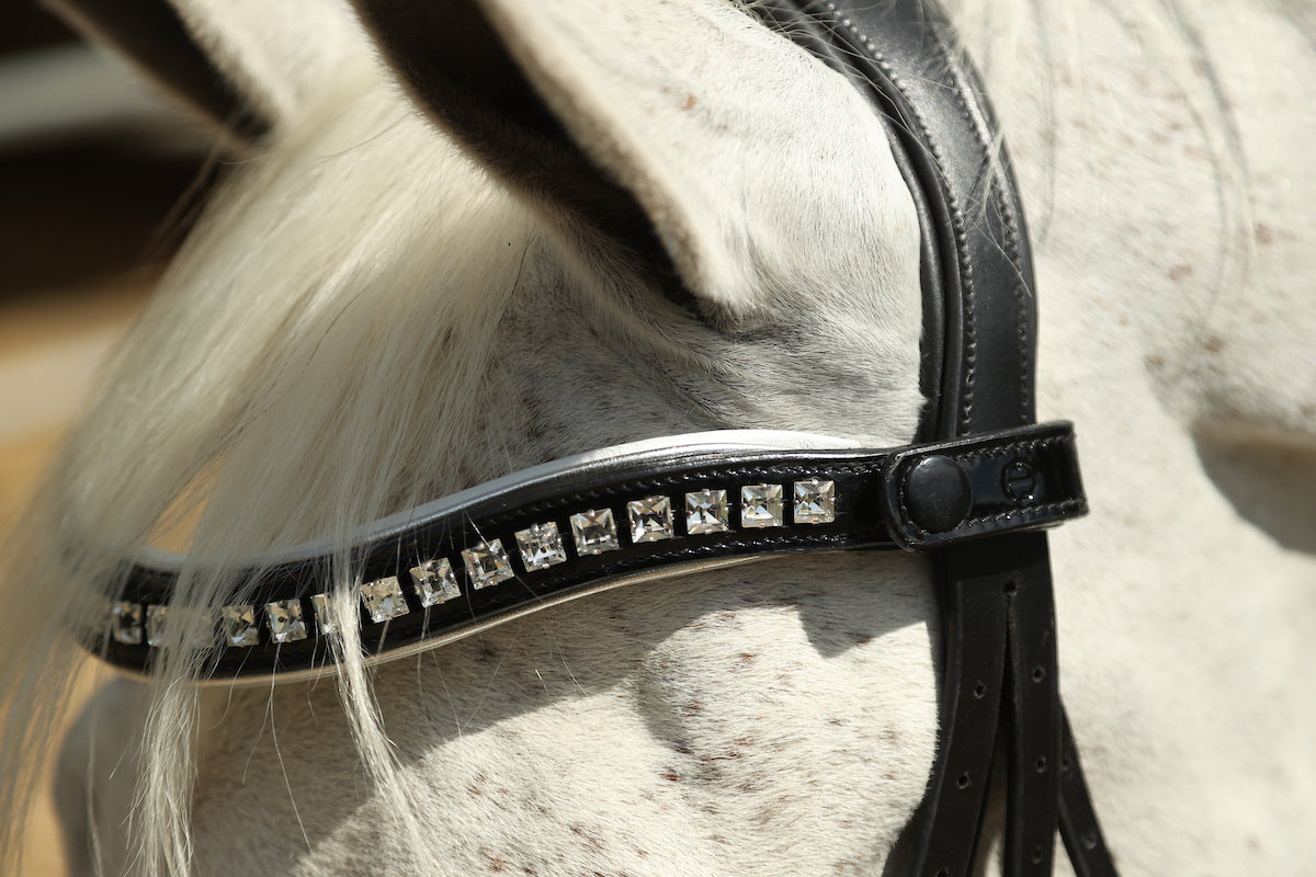 The Diana - Black Patent Rolled Leather Double Bridle