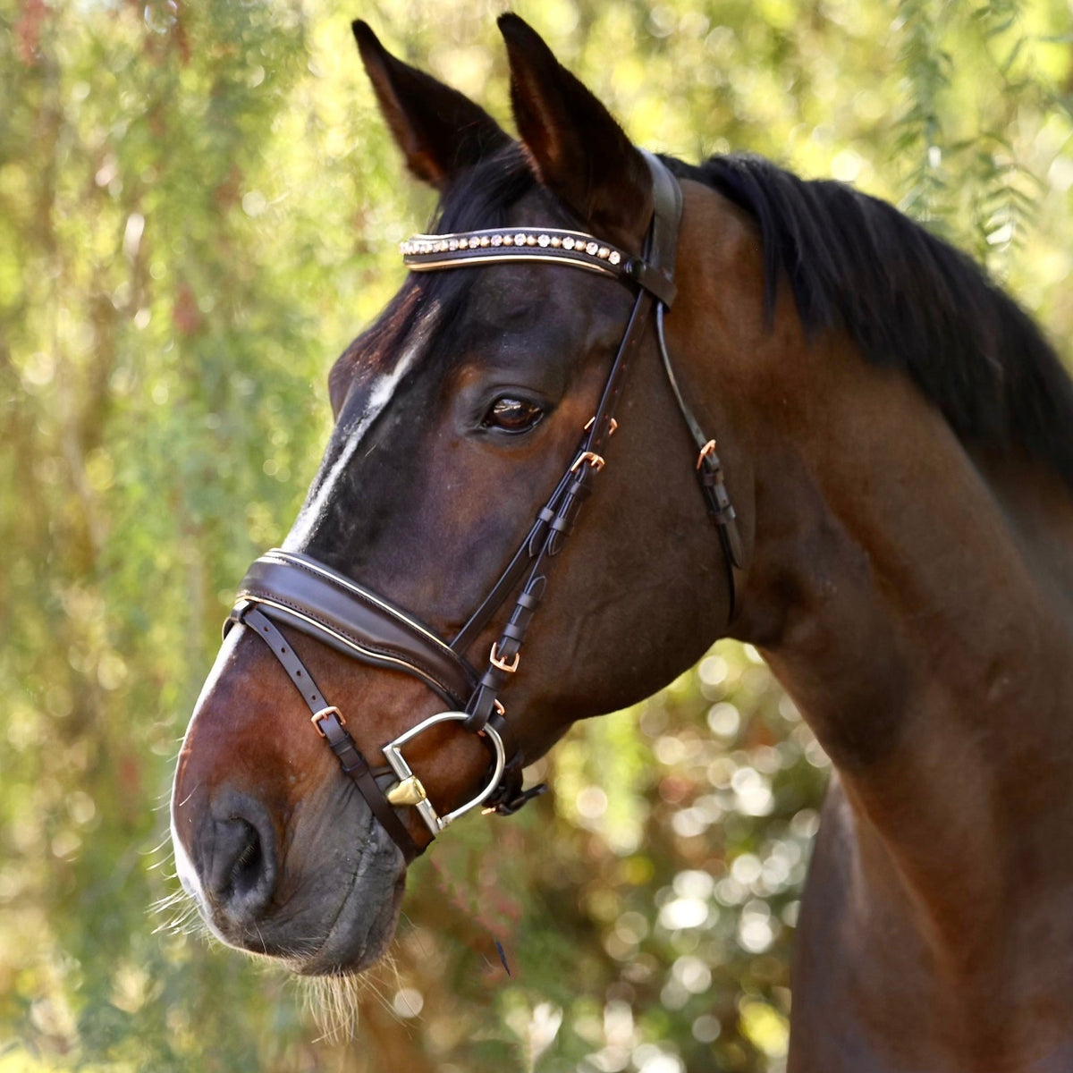 The &quot;Carmel&quot; Brown Leather Anatomical Snaffle Bridle