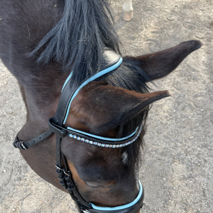 The &quot;Caspian&quot; - Black Rolled Leather Anatomical Snaffle Bridle with Sky Blue Padding