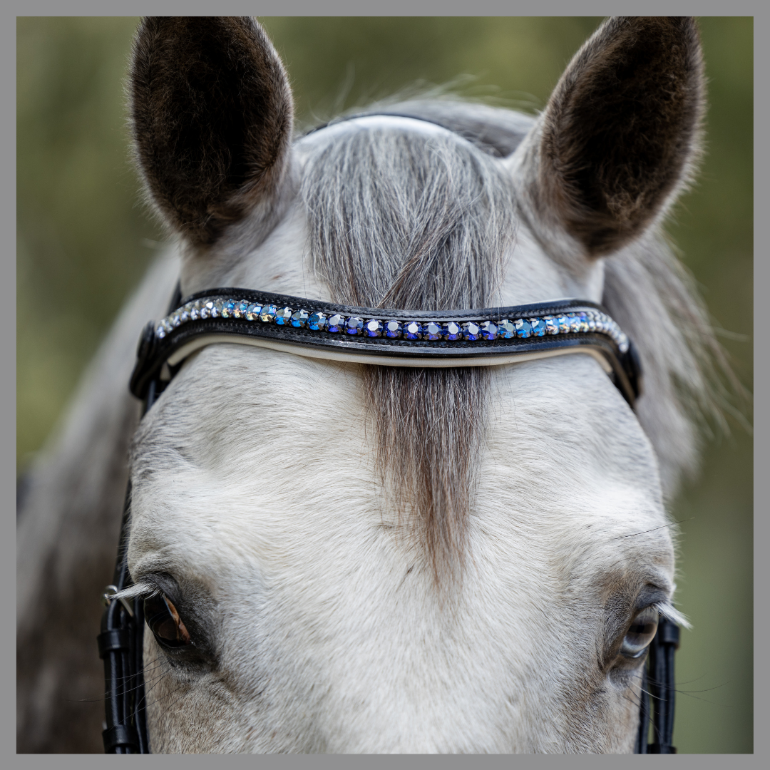 Astera - Black Patent Blue Sparkle Snaffle Bridle with White Padding