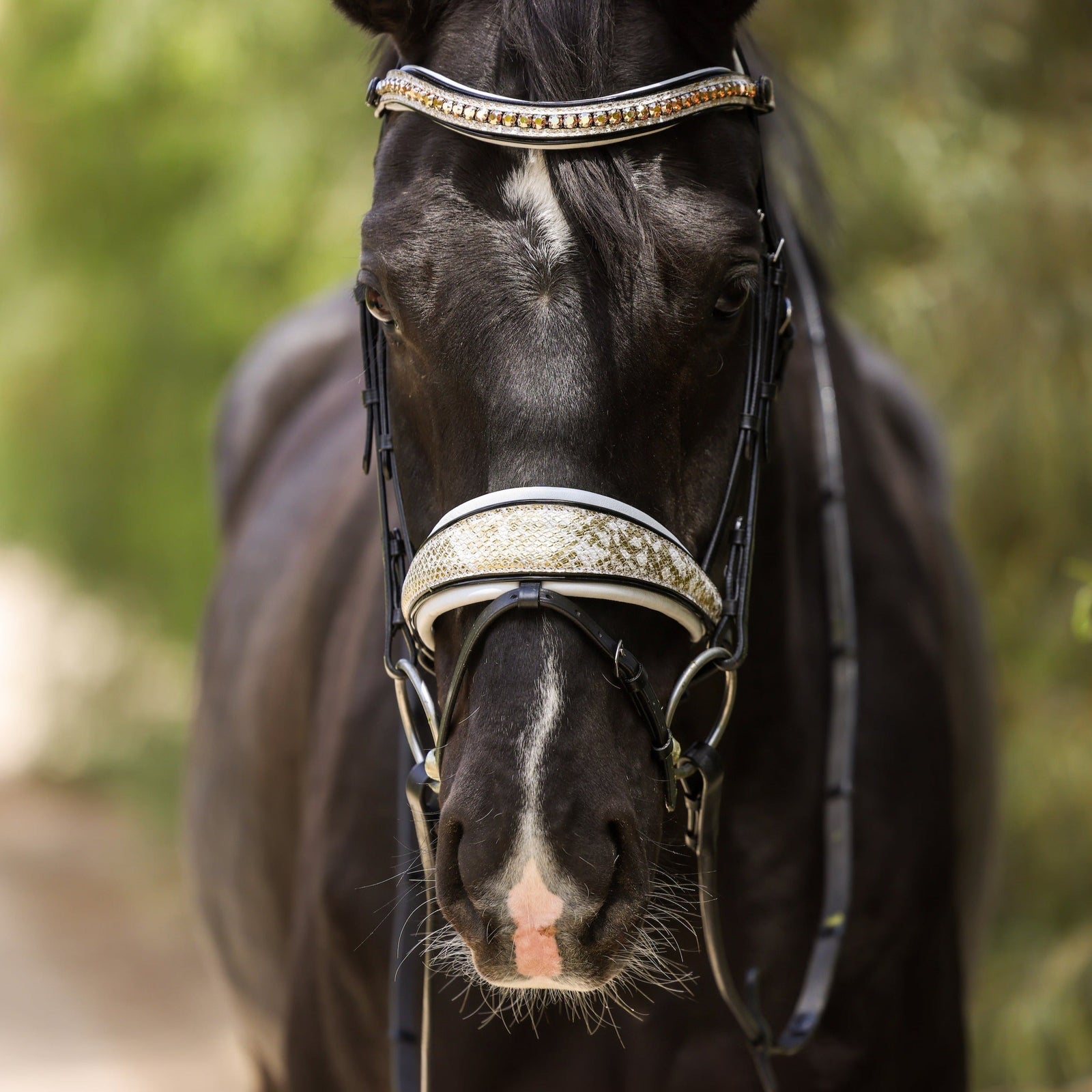 Halter Ego Copenhagen Snaffle – The Horse of Course