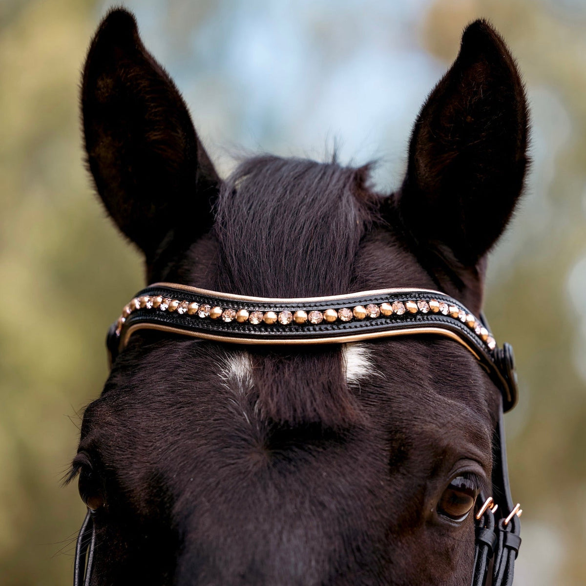 Aurelia Rose Gold Black Patent Snaffle Bridle with REMOVABLE FLASH