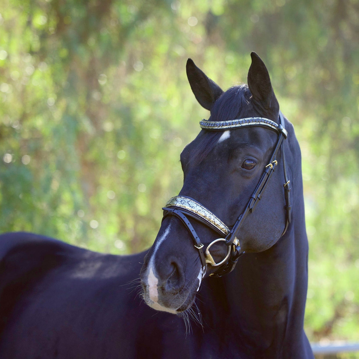 Damascus Metallic Gold Patent Leather Holiday Snaffle Bridle