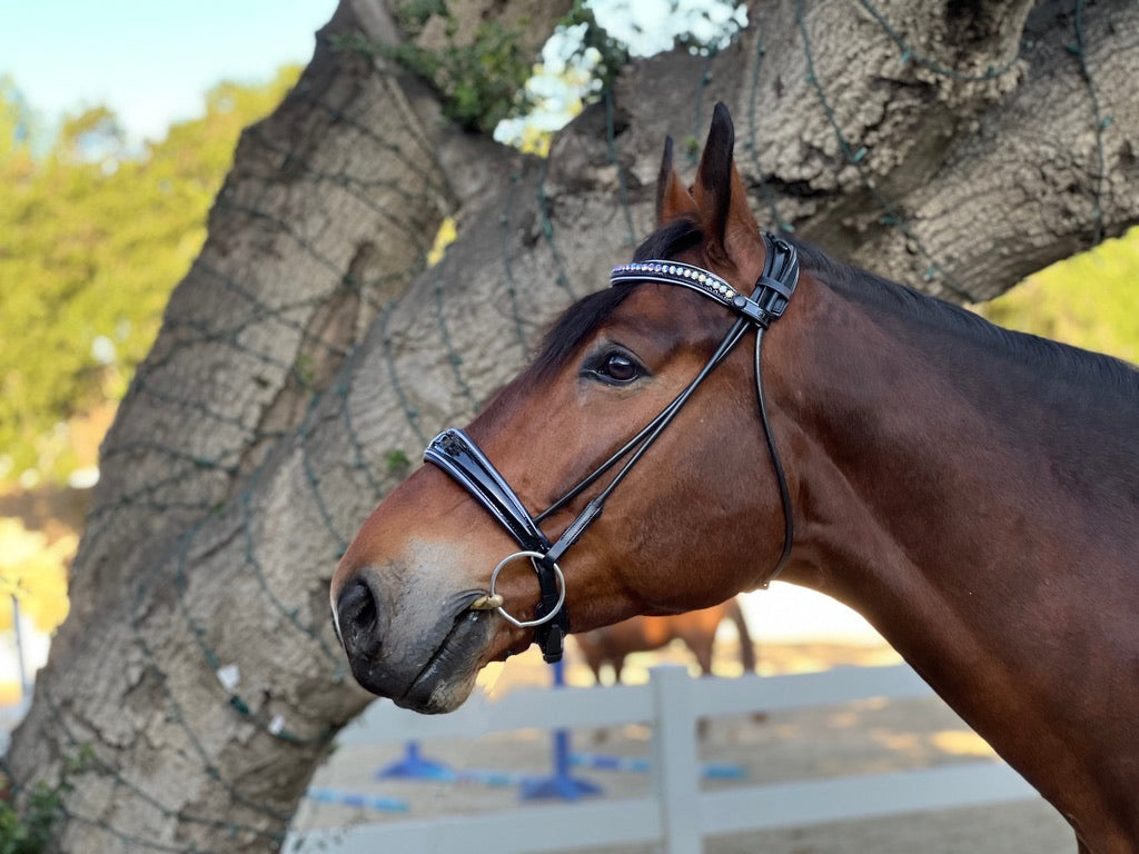 The Lauren Rolled Black Leather Snaffle Bridle